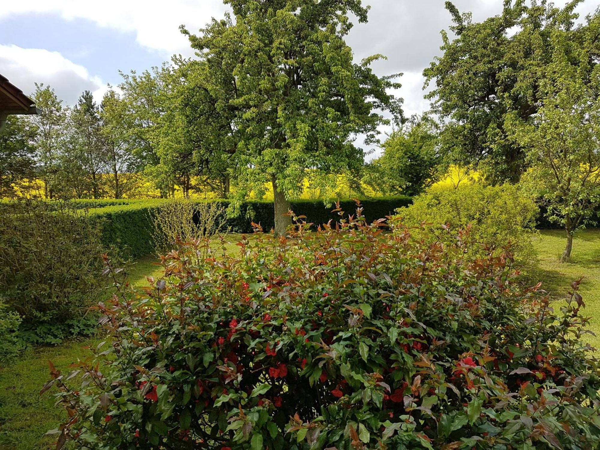 Ferienhaus Uckermark Casekow Luaran gambar
