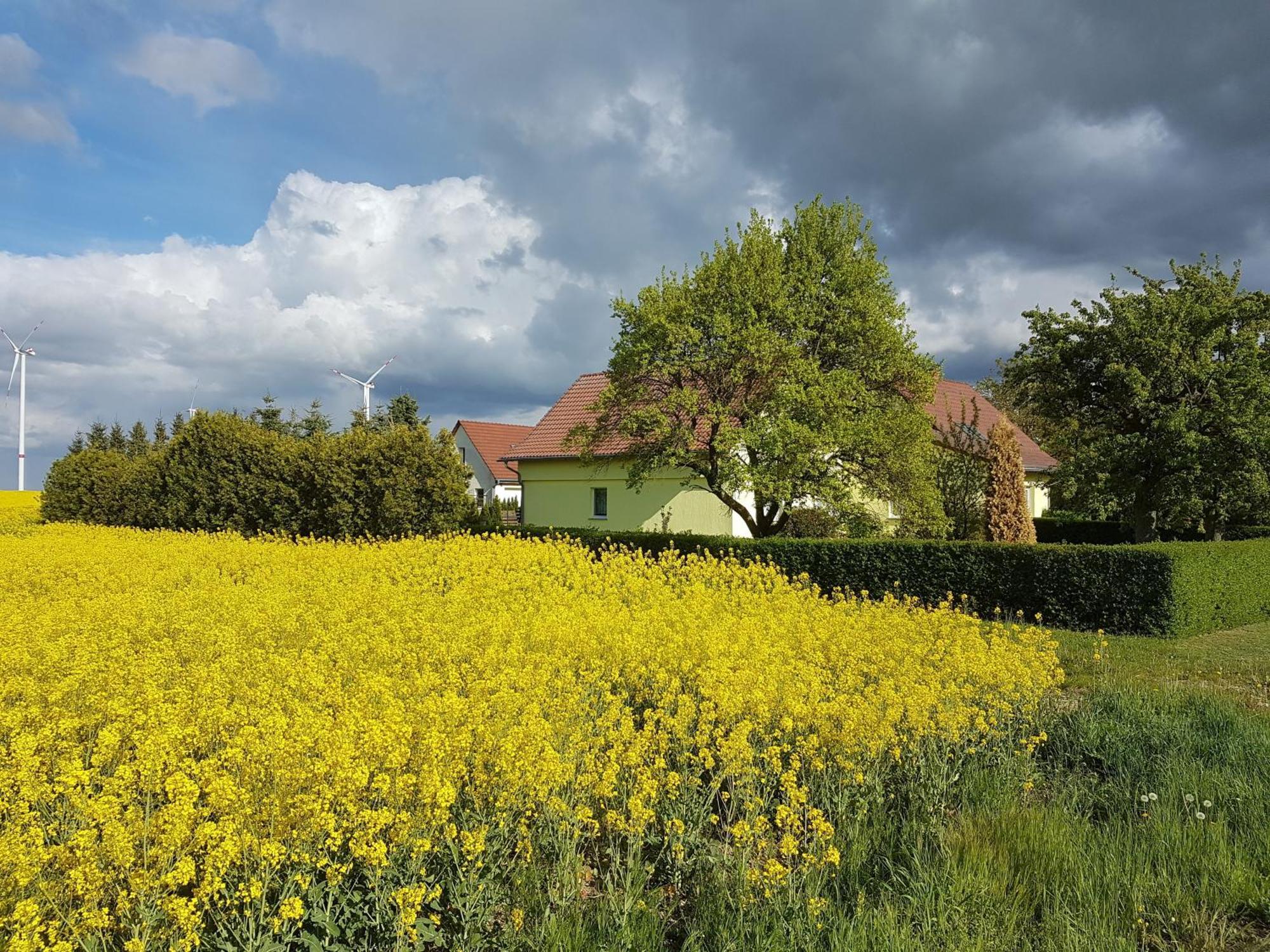 Ferienhaus Uckermark Casekow Luaran gambar